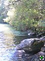 thn_NZ leden-unor 2006 249.jpg